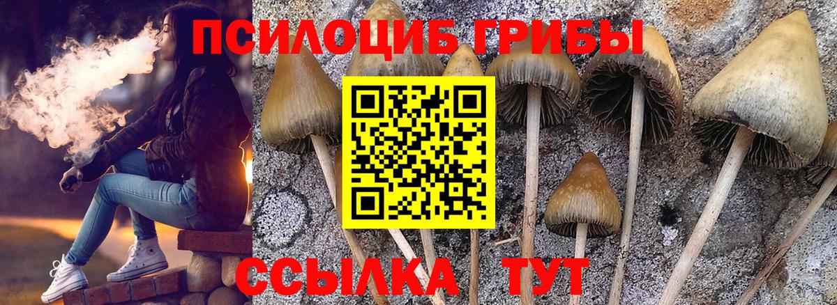 Псилоцибиновые грибы Cubensis  Галлюциногенные грибы Psilocybe  Вход с VPN  Коряжма 
